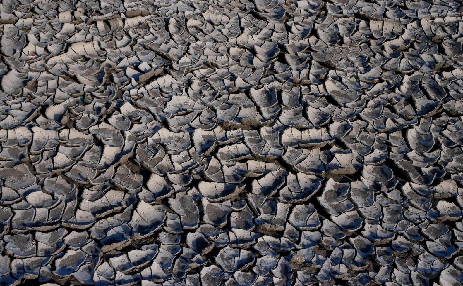A pattern on dried silt. Dry land in the desert, Utah US photo