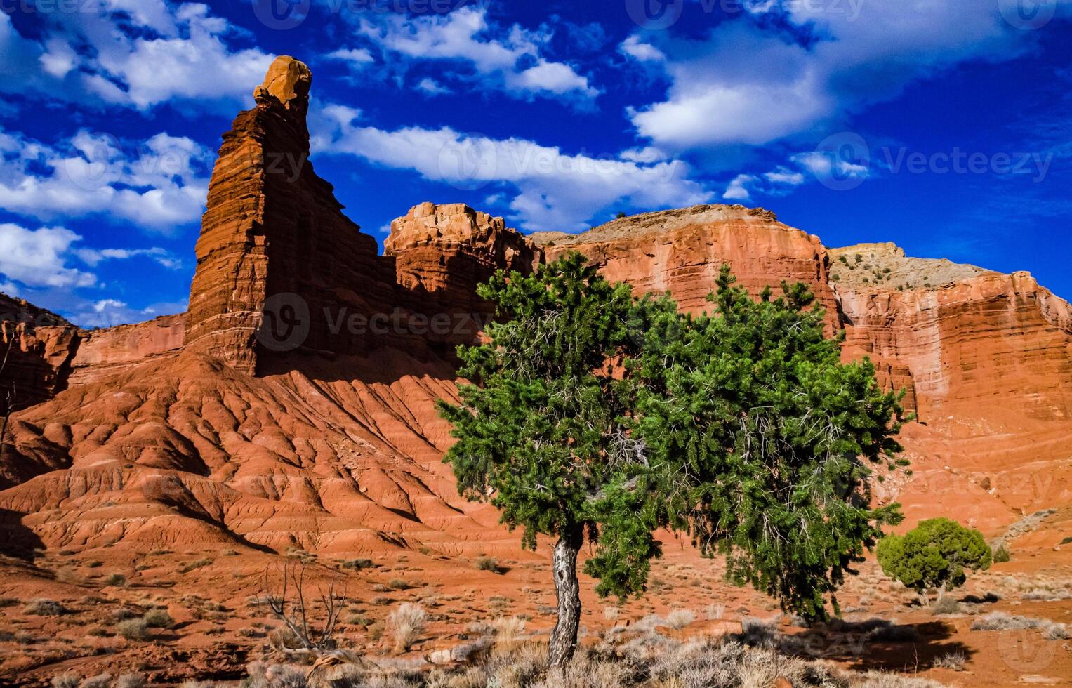 Layered clay and stone geological formations in Canyonlands NP is in Utah photo