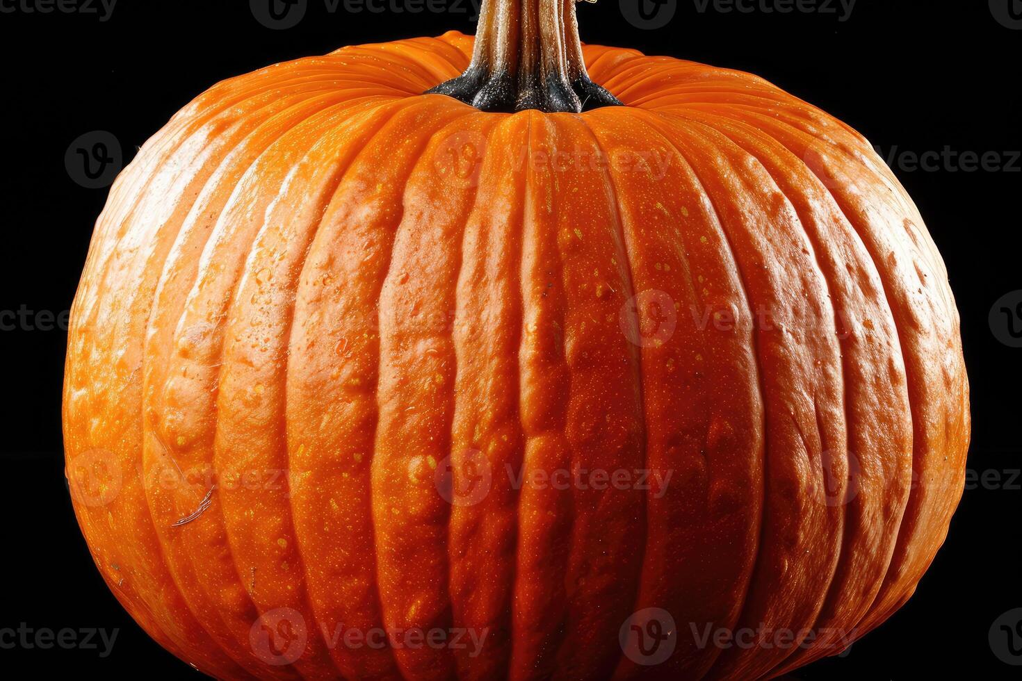 Close-up of an Orange Pumpkin with a Black Background photo
