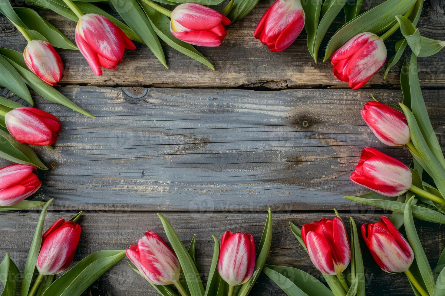 A stunning arrangement of vibrant red and pink tulips surrounds a rustic wooden surface, ideal for springthemed projects and celebrations during this joyous season of renewal and growth photo