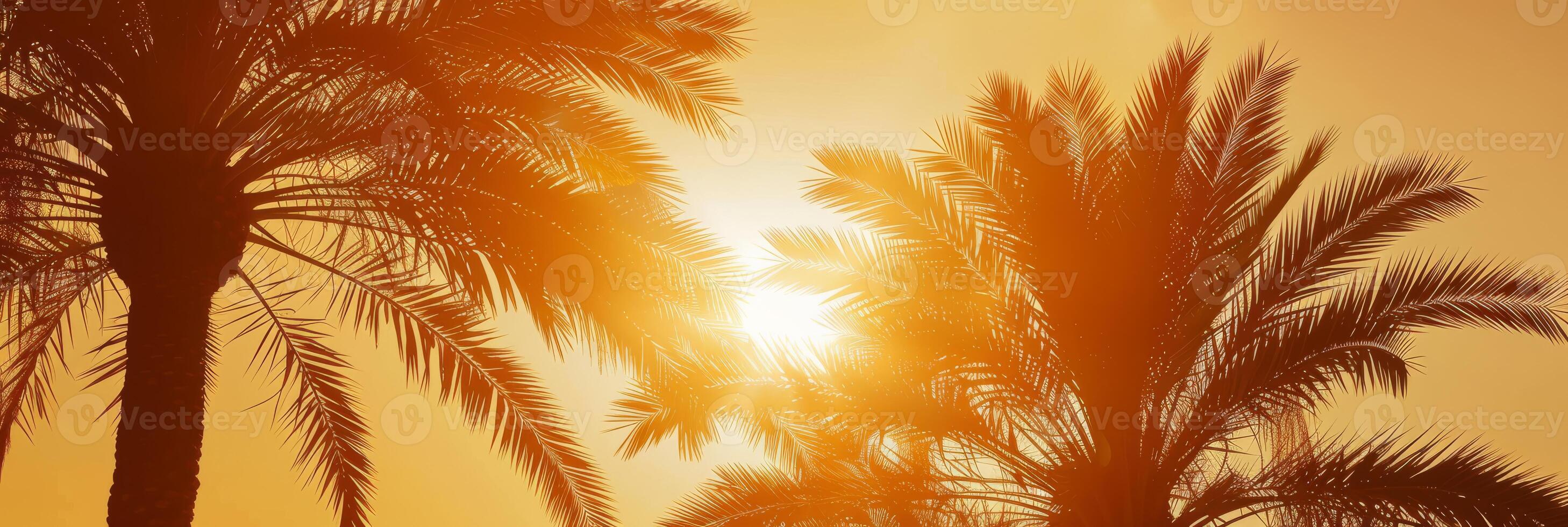 A breathtaking view of palm trees silhouetted against a golden sunset, radiating warmth and tranquility photo