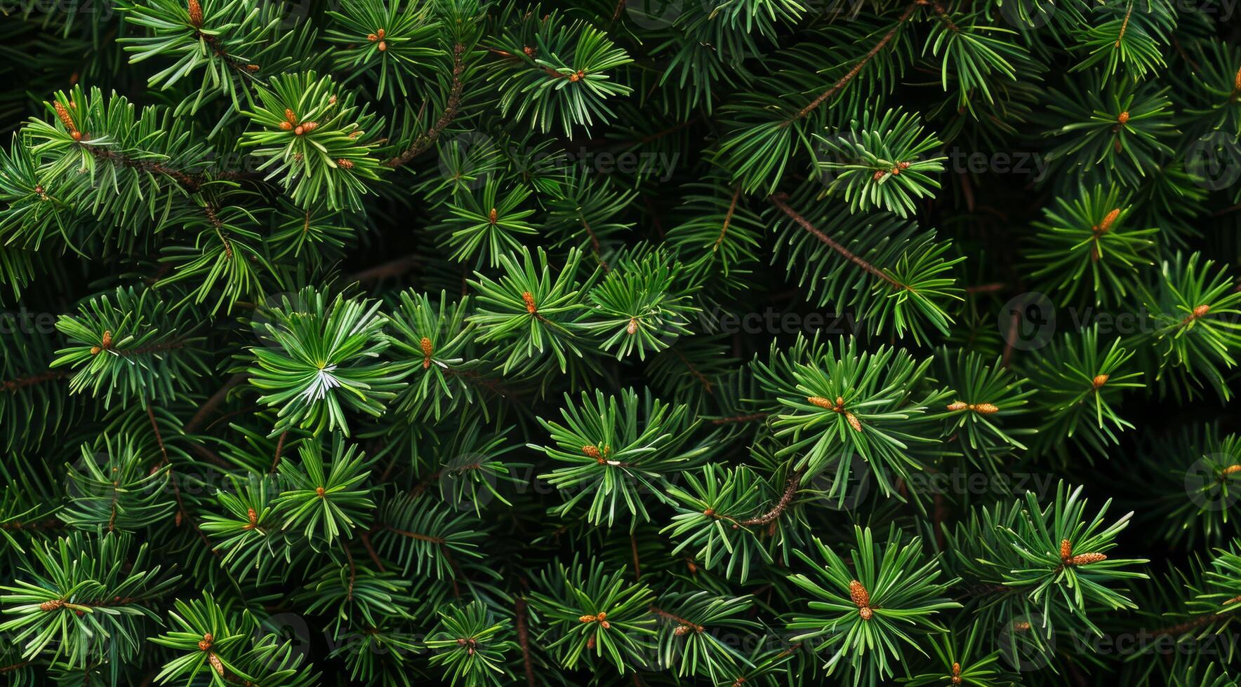 This is a beautifully detailed closeup image of a lush pine branch, showcasing its vibrant green needles and overall healthy, lush stance, emphasizing the remarkable beauty found in nature photo