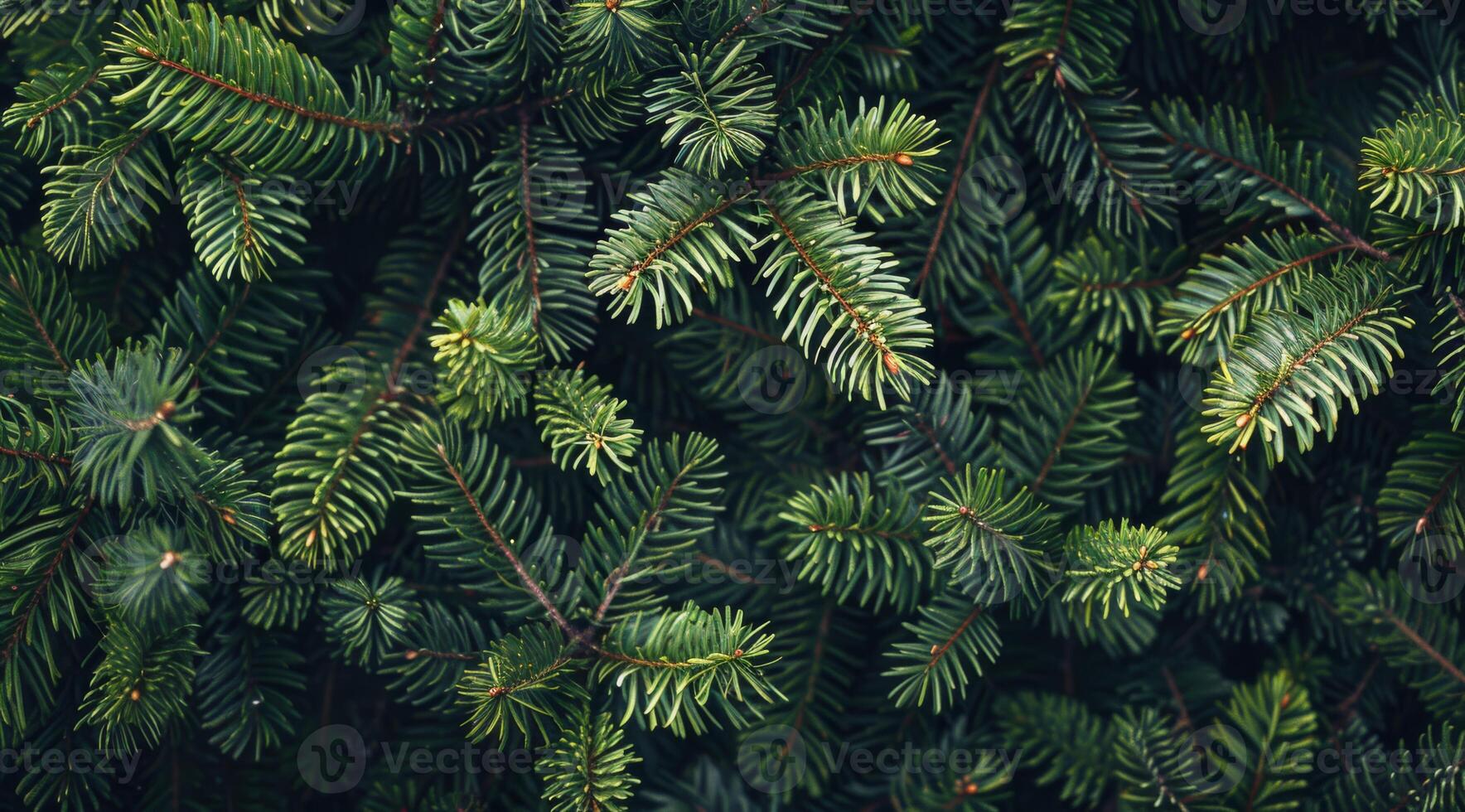This is a detailed closeup image that showcases vibrant green pine branches, effectively highlighting the rich textures and unique patterns found within the beautiful foliage of these plants photo
