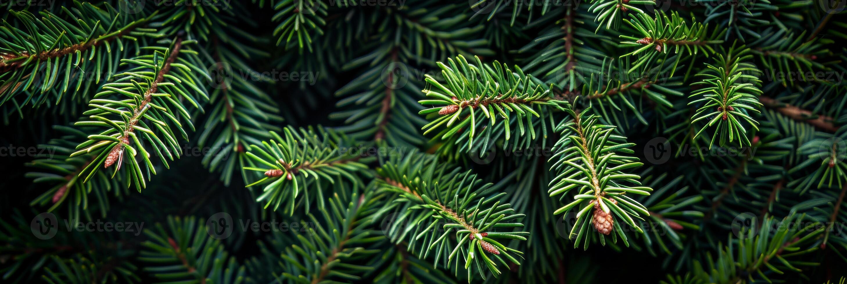 This is a highly detailed closeup image of lush green pine branches, which beautifully showcases the intricate and unique patterns of the needles, evoking a strong sense of natures exquisite beauty photo