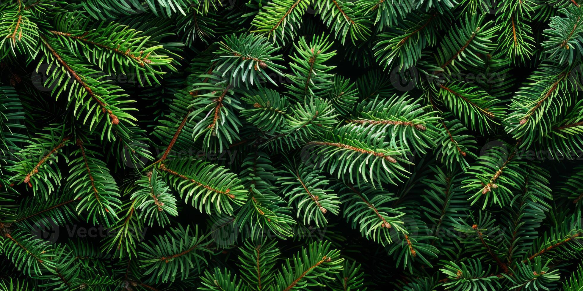 A detailed closeup view of vibrant and lush green pine branches highlights their intricate textures and natural charm, making them an ideal choice for various naturethemed designs and projects photo