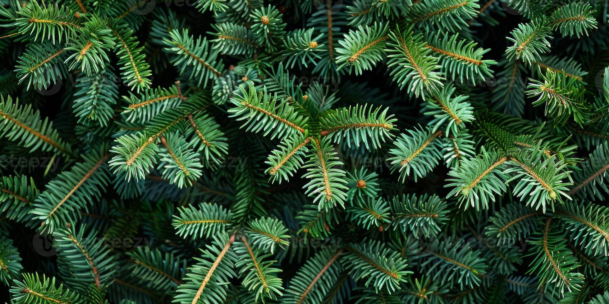 This captivating and detailed view of the lush green pine branches beautifully showcases their vibrant needles and rich texture, undoubtedly delighting all nature enthusiasts who admire the outdoors photo