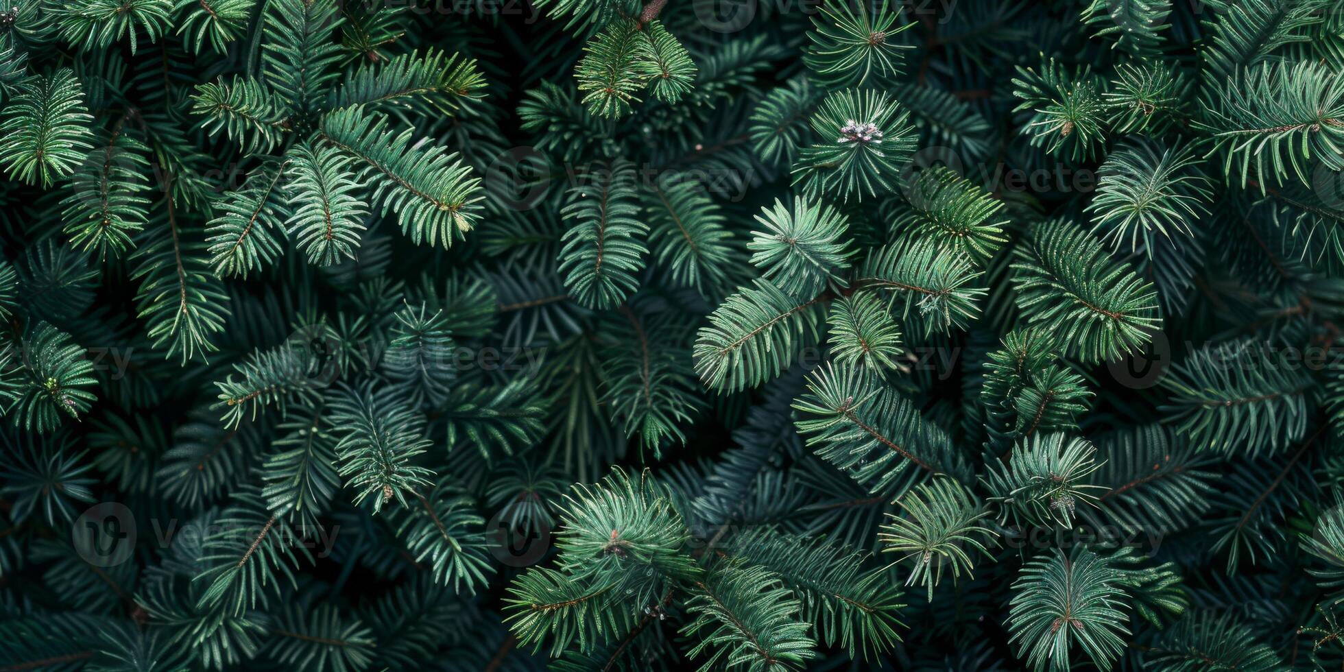 Here is a detailed and closeup view of vibrant green pine branches, showcasing the intricate textures and the vivid colors that exemplify the beauty and complexity of nature itself photo