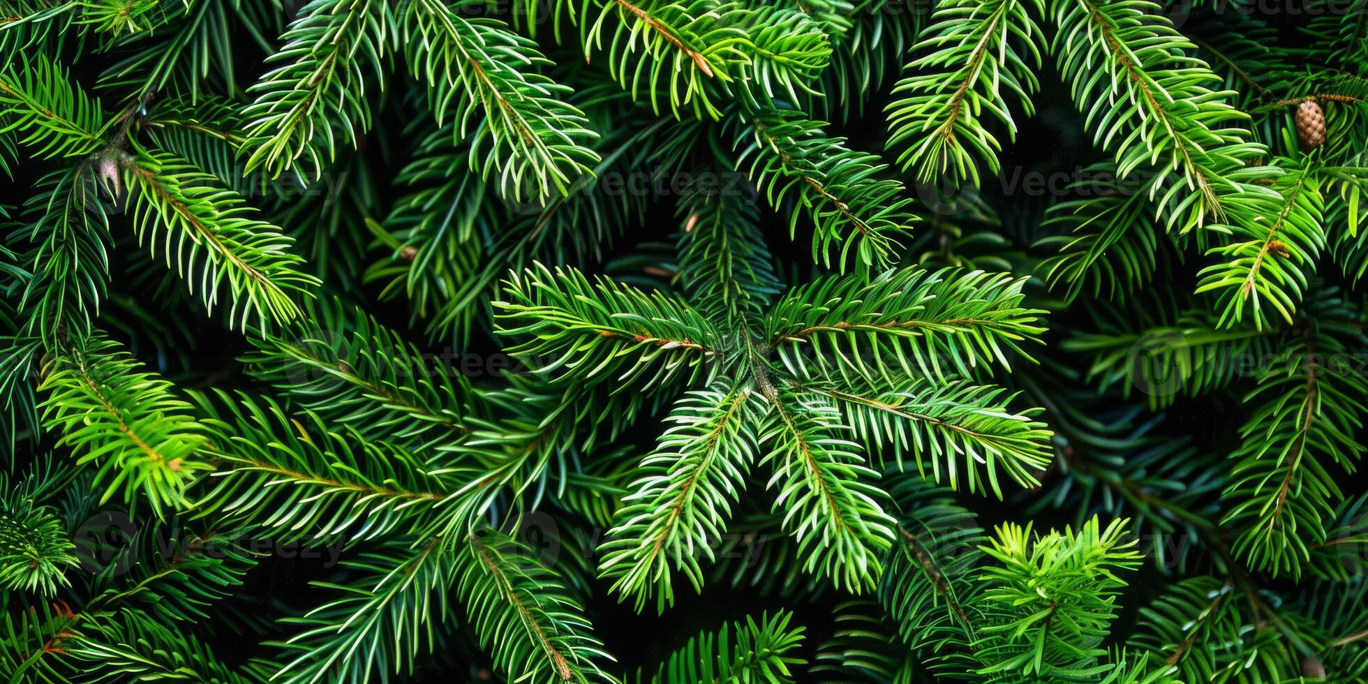 This image presents a stunning, detailed closeup view of vibrant green pine branches that wonderfully showcases the intricate texture and remarkable beauty of each individual needle photo