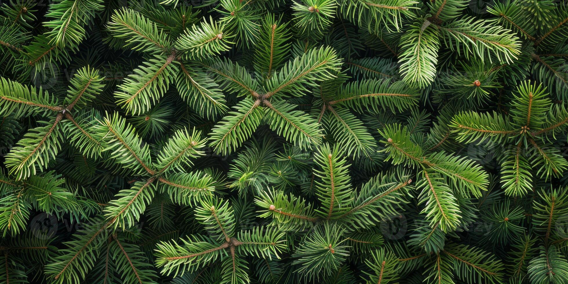 This is an intricately detailed closeup view of pine branches, showcasing their vibrant green needles, which beautifully highlights the remarkable beauty and texture found in nature photo
