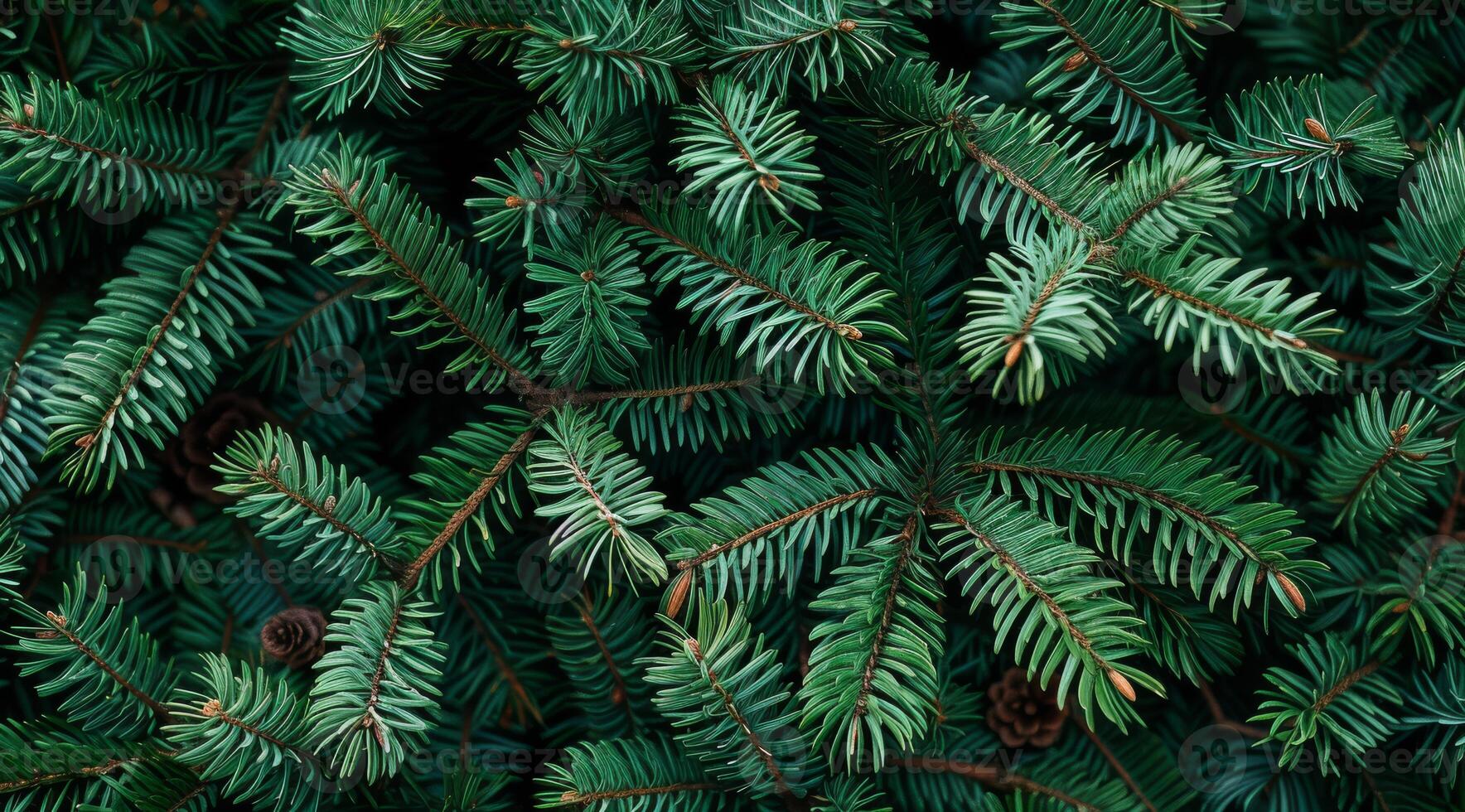 A stunning closeup view of the vibrant green pine branches beautifully highlights their intricate needle patterns and rich natural texture, effectively capturing the true essence of evergreen beauty photo