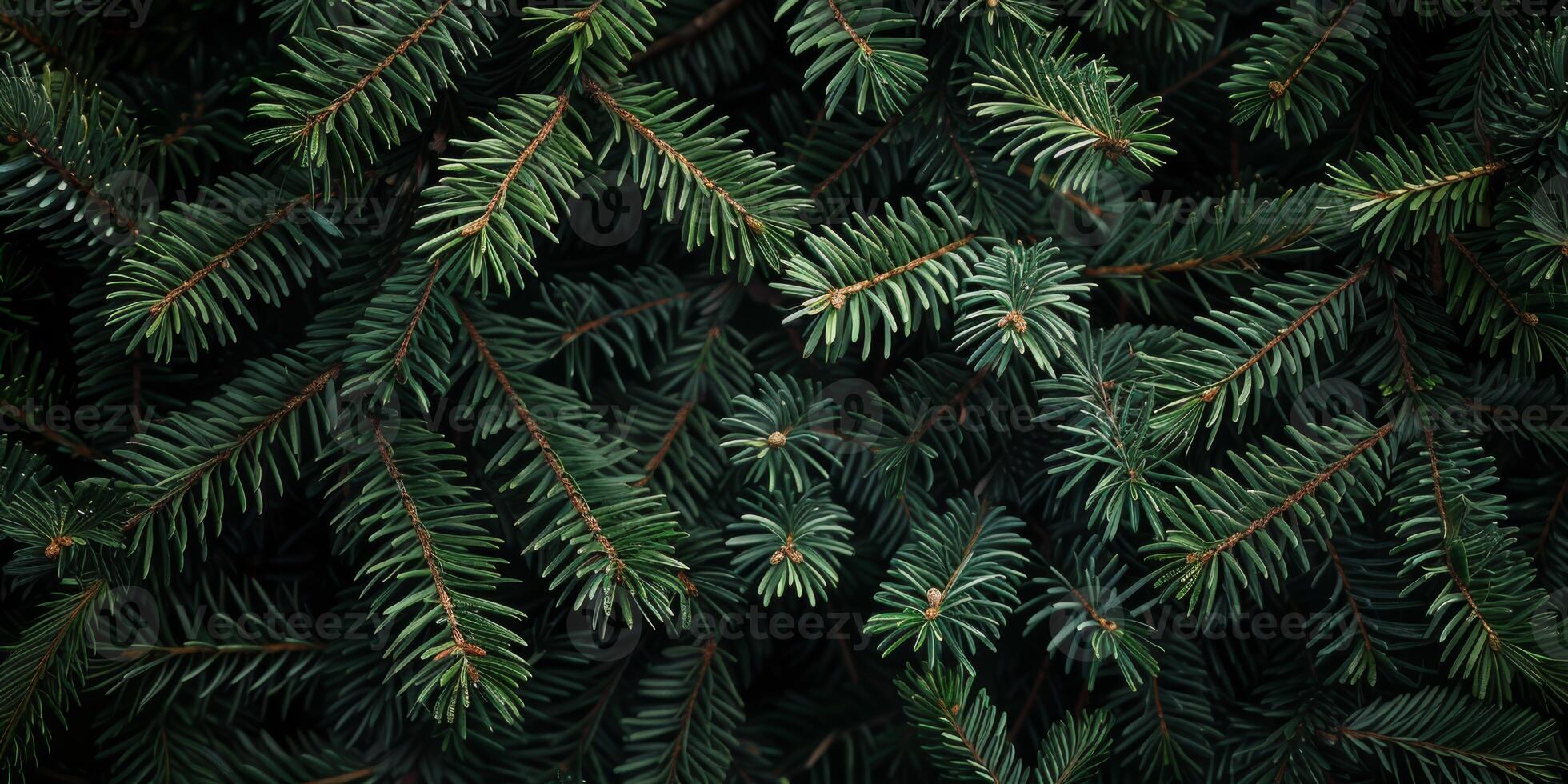 This image features a closeup of vibrant green pine branches, showcasing the unique texture of each leaf. Its perfect for nature lovers who appreciate the beauty of this serene scene photo