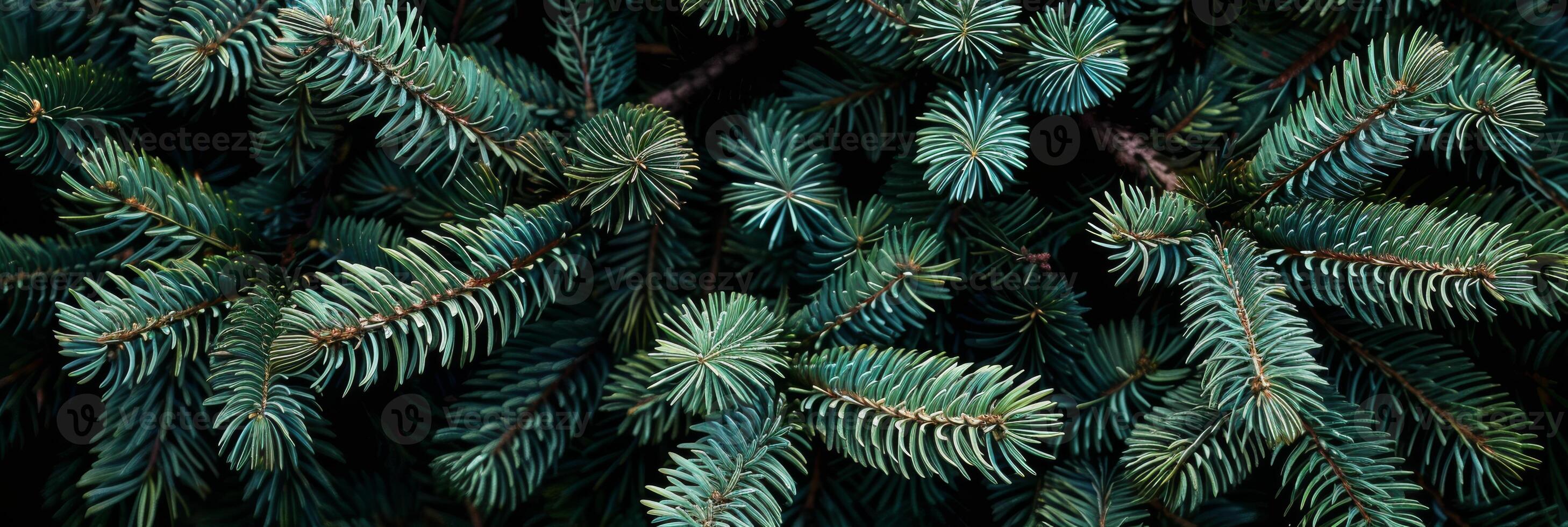 This closeup image showcases a stunning cluster of lush green pine branches, highlighting the intricate textures and exquisite beauty of evergreen foliage and natures remarkable artistry photo