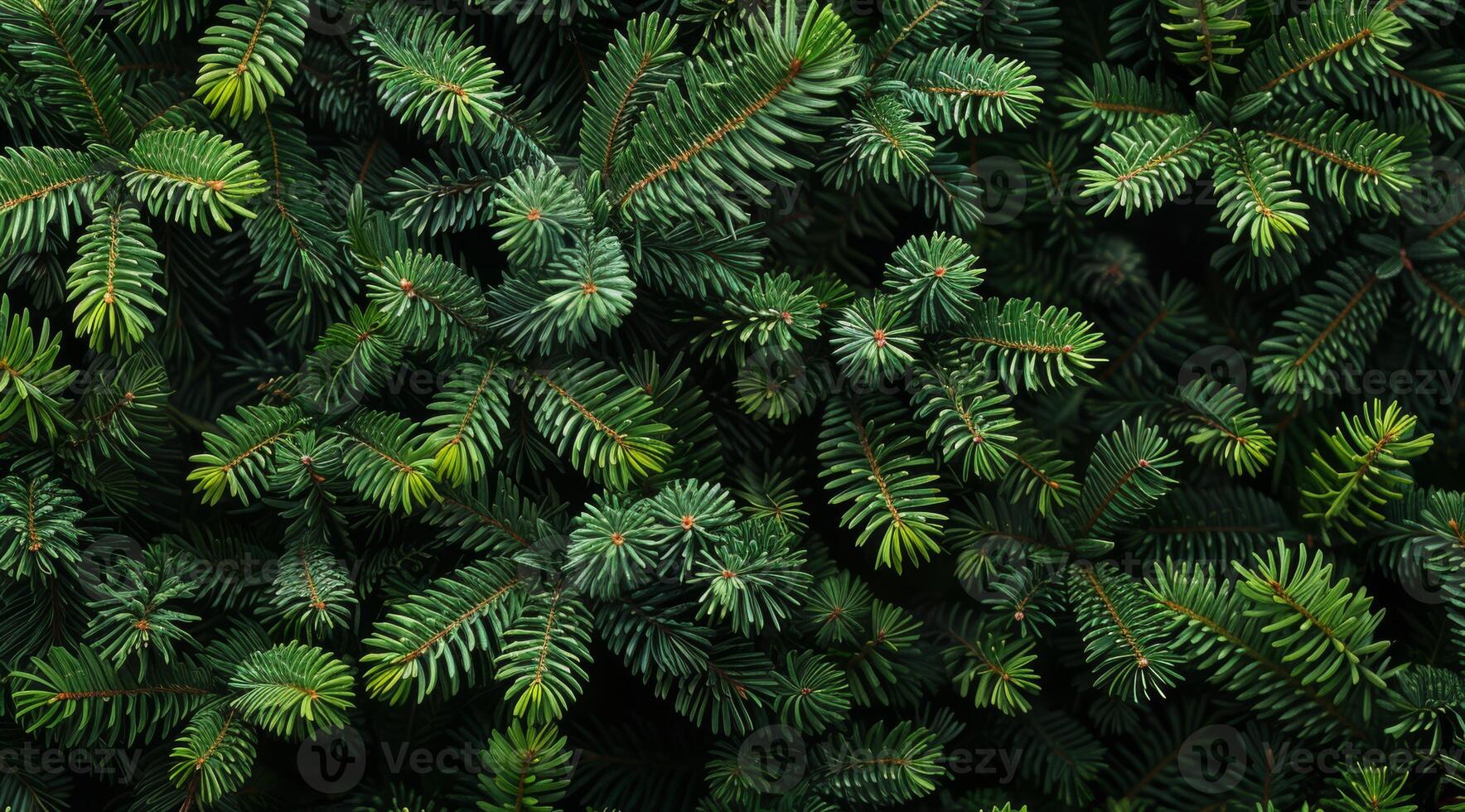 A closeup of vibrant green pine branches highlights their intricate needle structures and textures, appealing to nature lovers, botany enthusiasts, and anyone fascinated by natural beauty photo
