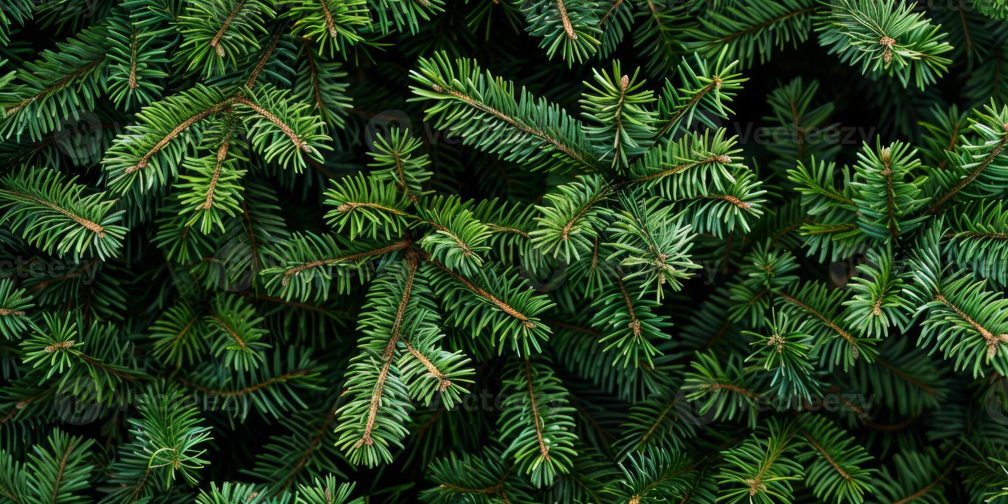 A detailed closeup shot of a pine branch beautifully showcases the vibrant green needles, while also highlighting the intricate texture and the rich colors found in the lush foliage surrounding it photo