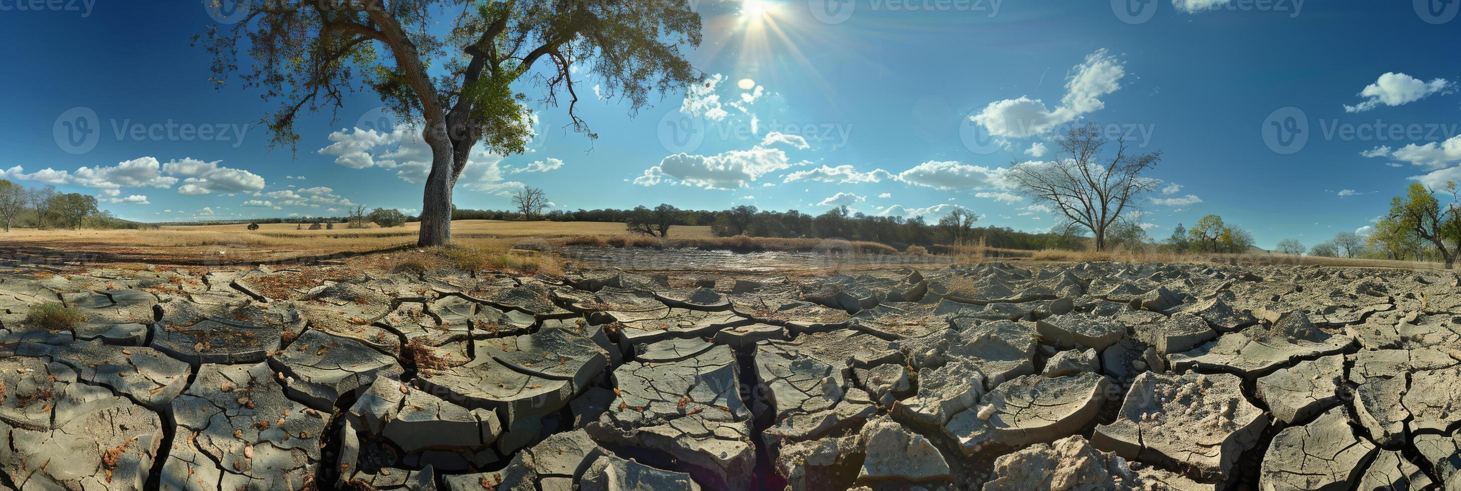 This barren landscape illustrates the harsh effects of prolonged drought and climate change, with cracked earth and isolated trees under a vast, empty sky showing little signs of life photo