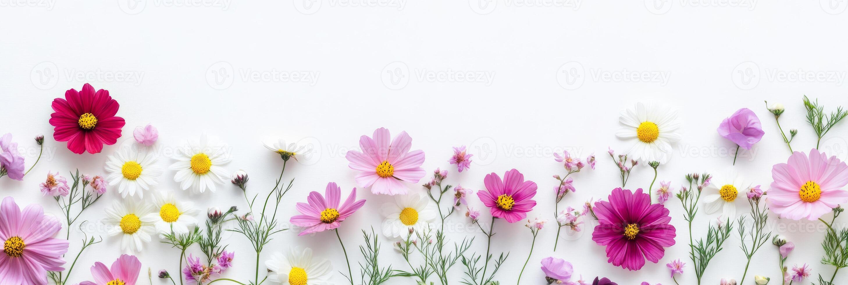 A vibrant and beautiful arrangement of pink, white, and yellow flowers set against a clean background, making it perfect for a variety of creative projects, invitations, and decorative purposes photo