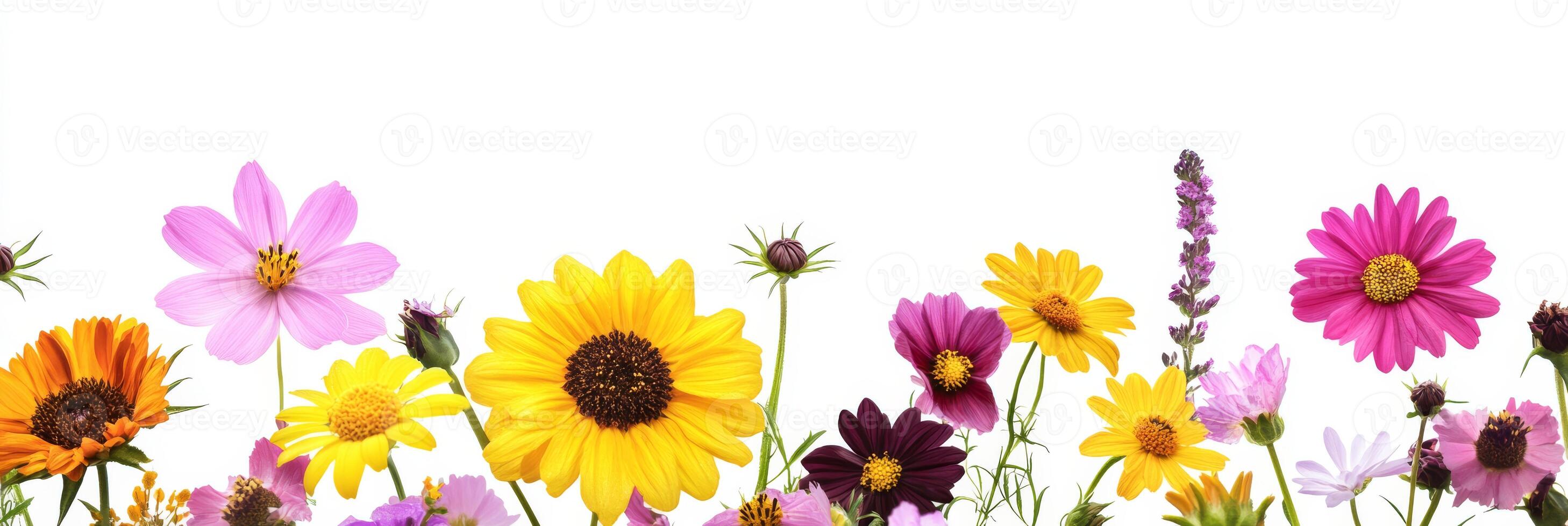 This colorful collection showcases stunning flowers perfect for adding joy to any project. Ideal for enhancing backgrounds or as decorative elements in various artistic applications photo