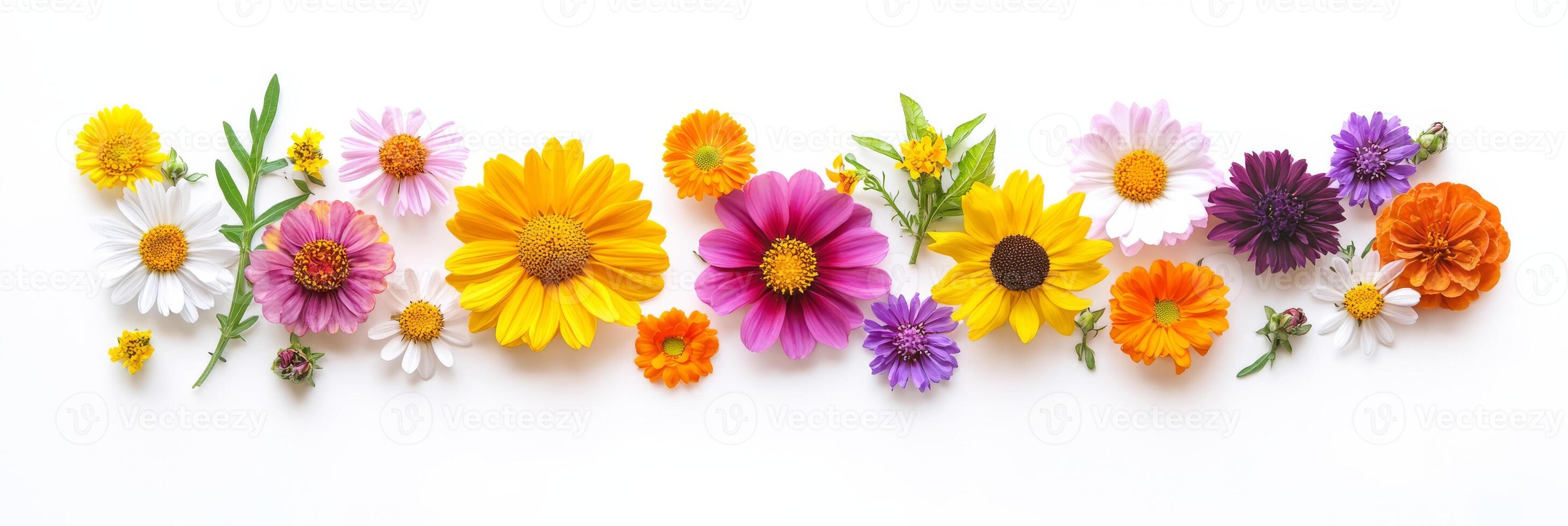 A vibrant display of an extensive variety of beautiful flowers showcasing a wide spectrum of colors, perfect for spring themes and providing floral design inspiration to spark creativity and joy photo