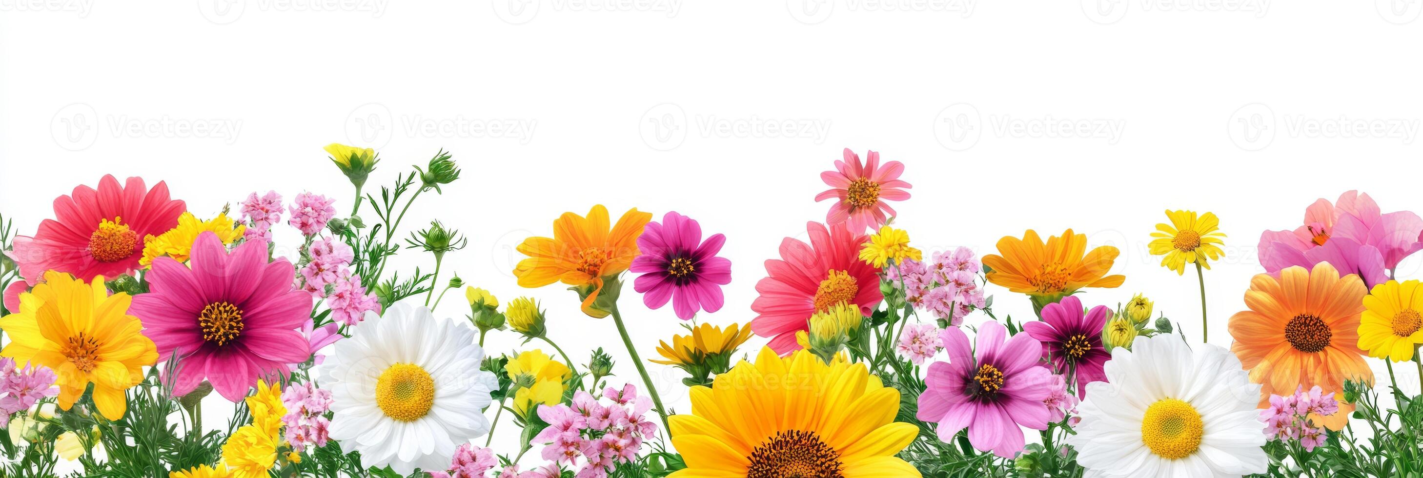 This is a stunning and beautiful illustration showcasing a vibrant floral border that features a diverse array of colorful flowers, making it ideal for various backgrounds and artistic designs photo
