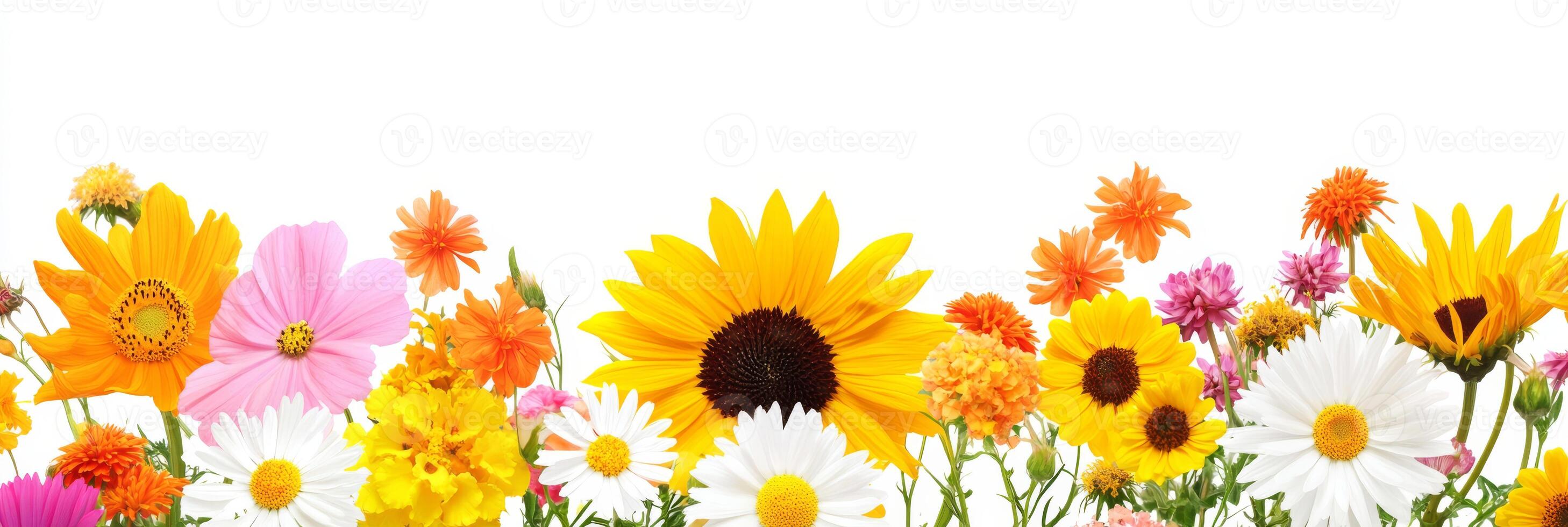A vibrant display of cheerful sunflowers, delicate daisies, and colorful wildflowers evokes the beauty and joy of spring, filling the landscape with delightful seasonal wonder and charm photo