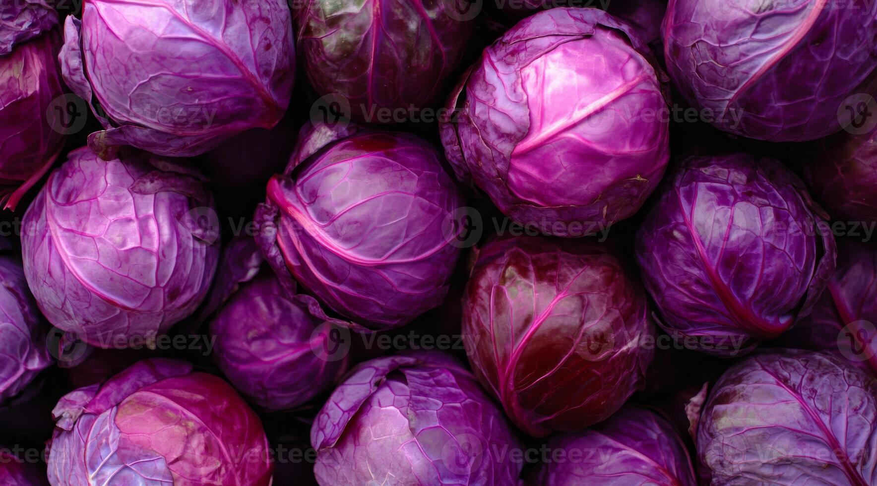 A colorful display of fresh purple cabbages, highlighting their intricate and beautiful textures and hues photo
