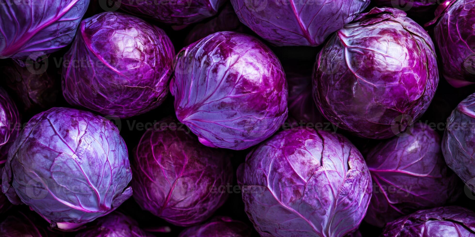 A closeup view of fresh, vibrant purple cabbages is showcasing their unique textures and striking colors photo