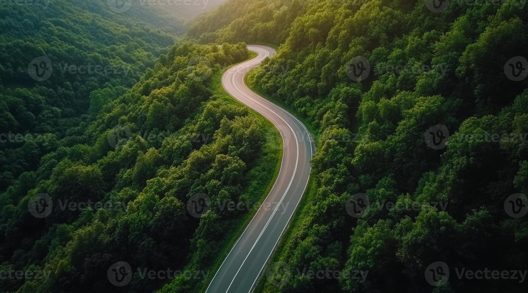 An impressive aerial view captures a curving asphalt road winding through a picturesque landscape of vibrant green trees, truly showcasing the enchanting beauty of the countryside nature all around photo