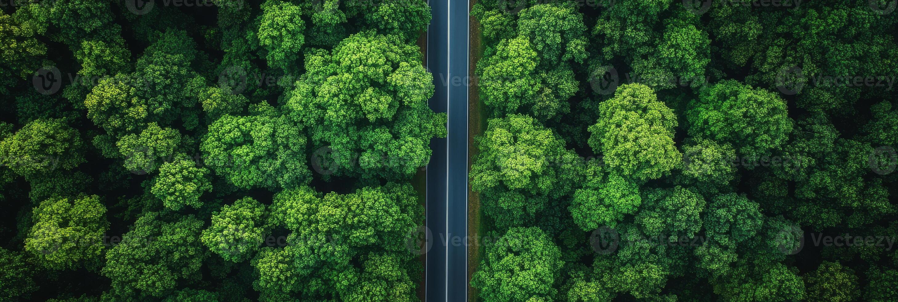 An aerial view showcases a winding road through a lush green forest, emphasizing the serene beauty of a charming countryside for all who explore this scenic area with joy and wonder photo