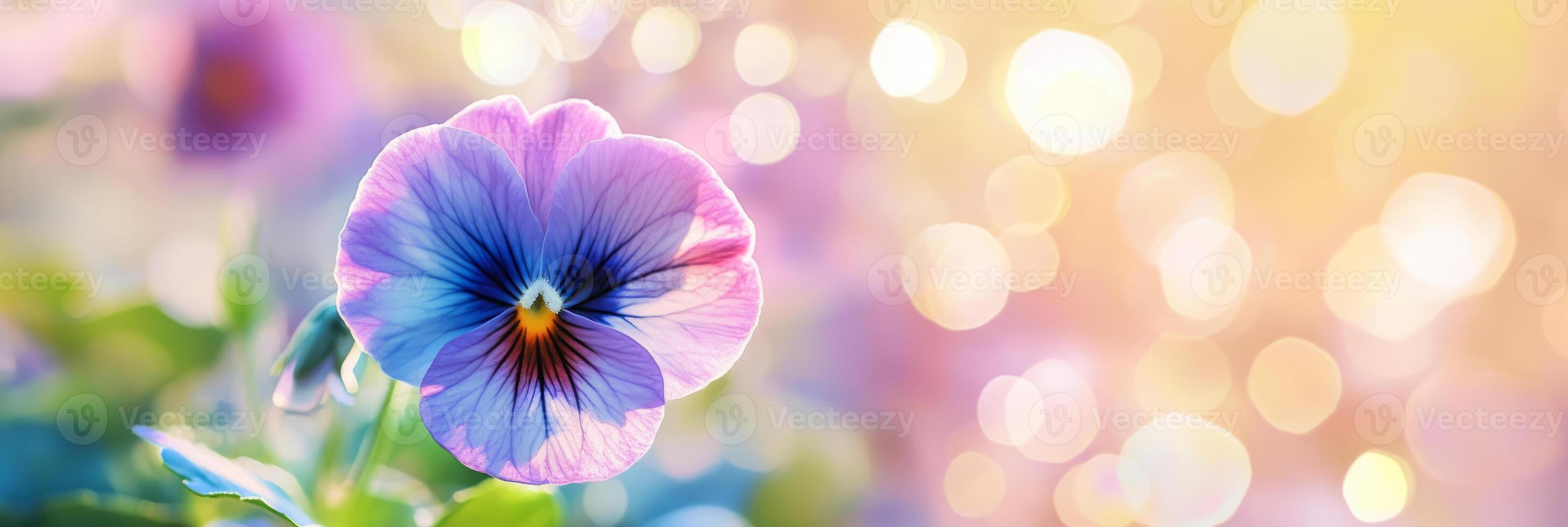A vibrant pansy flower stands out beautifully against a soft, colorful backdrop, showcasing its delicate, unique petals and intricate patterns that draw the eye and evoke a sense of wonder and beauty photo