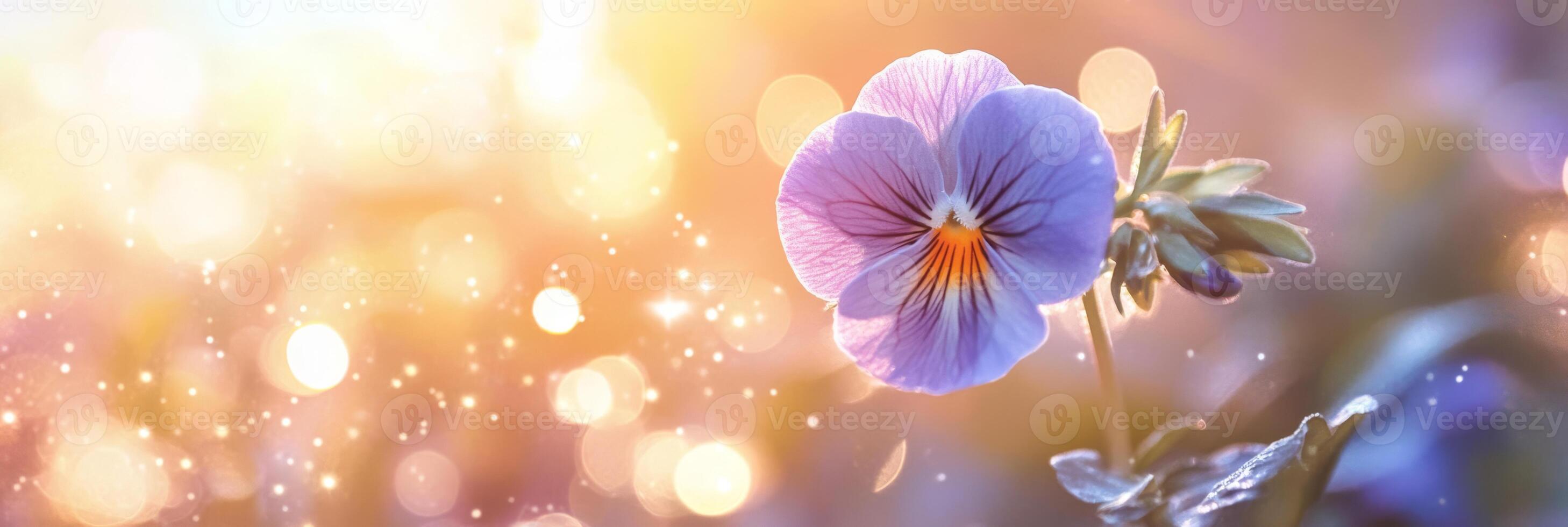 A stunning pansy with vibrant purple hues stands out against a dreamy backdrop of warm bokeh lights, creating an enchanting atmosphere that captivates viewers and ignites imagination photo