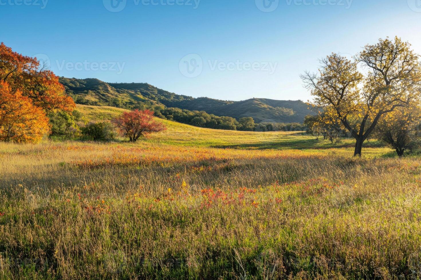 A picturesque meadow with vibrant autumn colors. photo