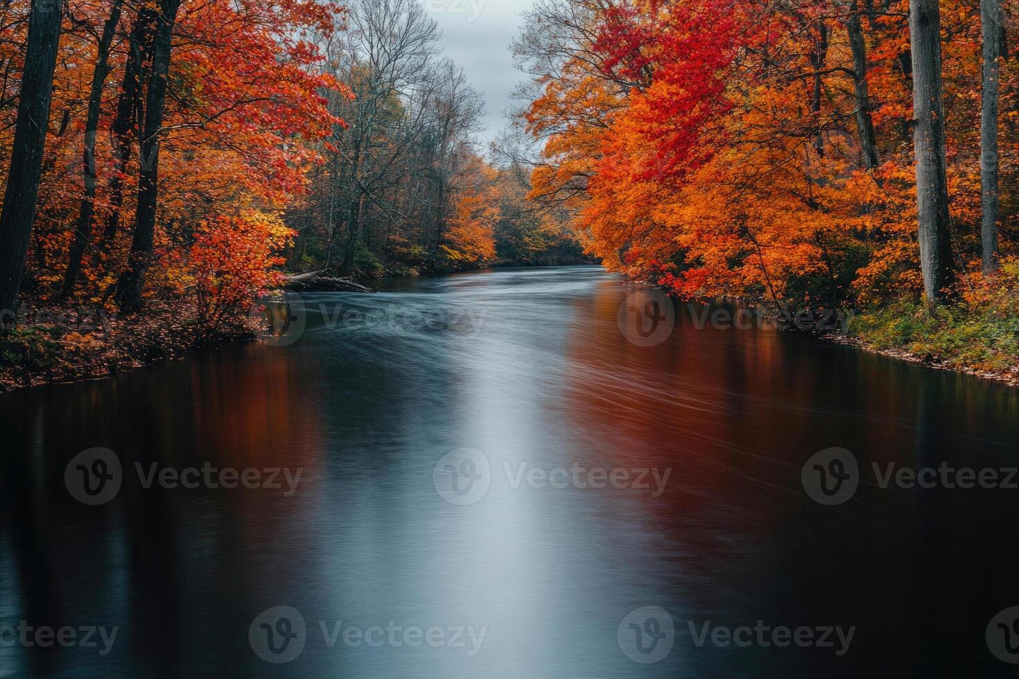 A serene river flowing through autumnal trees. photo