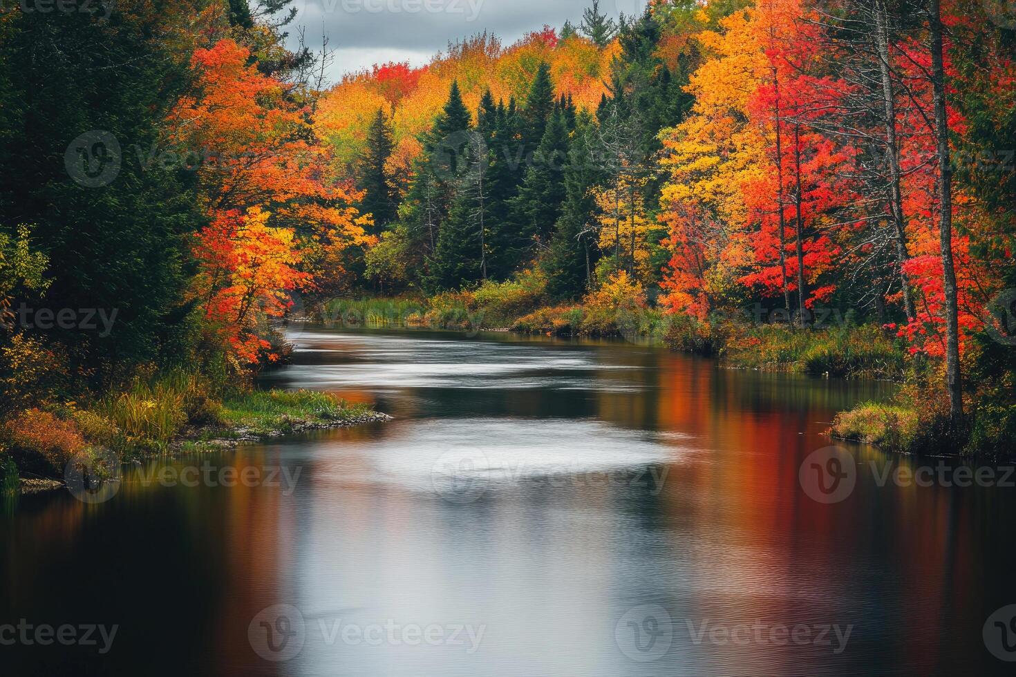 A serene river flowing through autumnal trees. photo