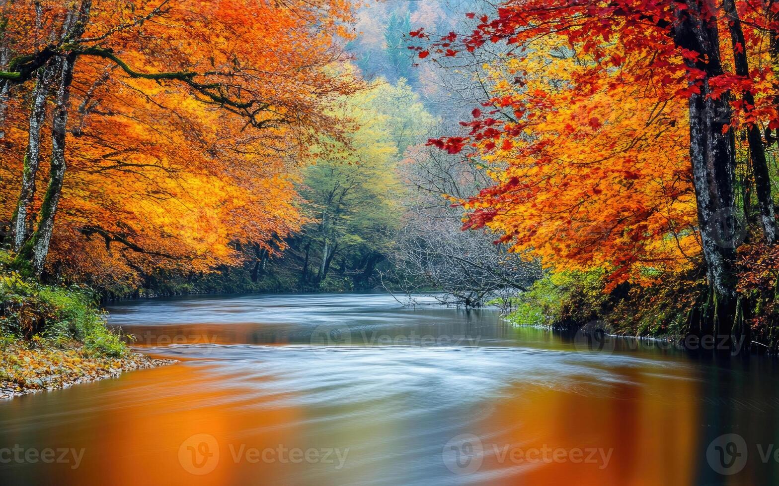 A serene river flowing through autumnal trees. photo