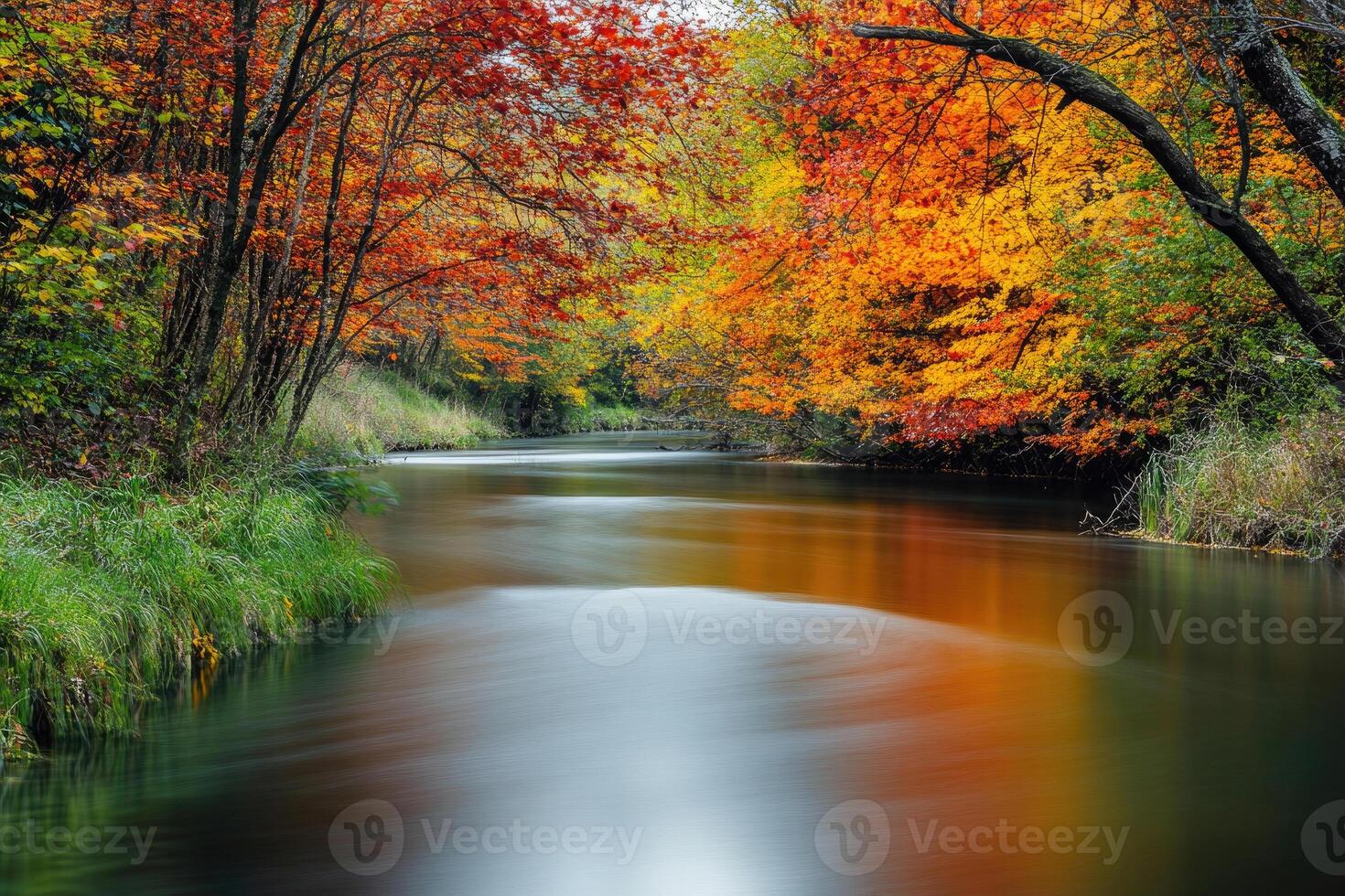 A serene river flowing through autumnal trees. photo