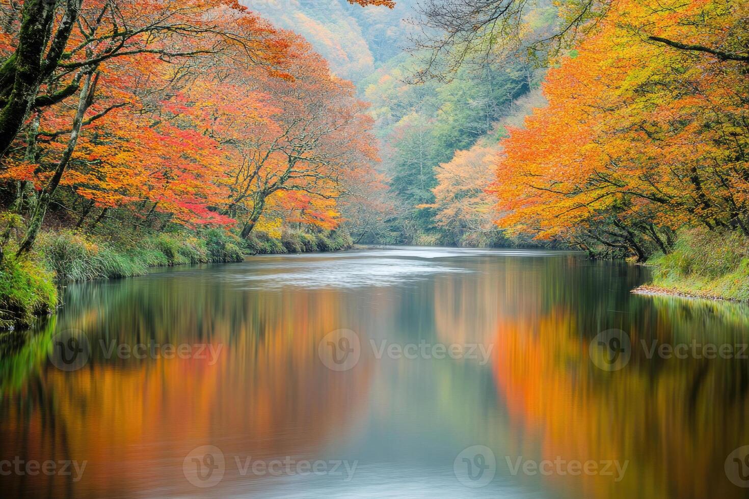 A serene river flowing through autumnal trees. photo