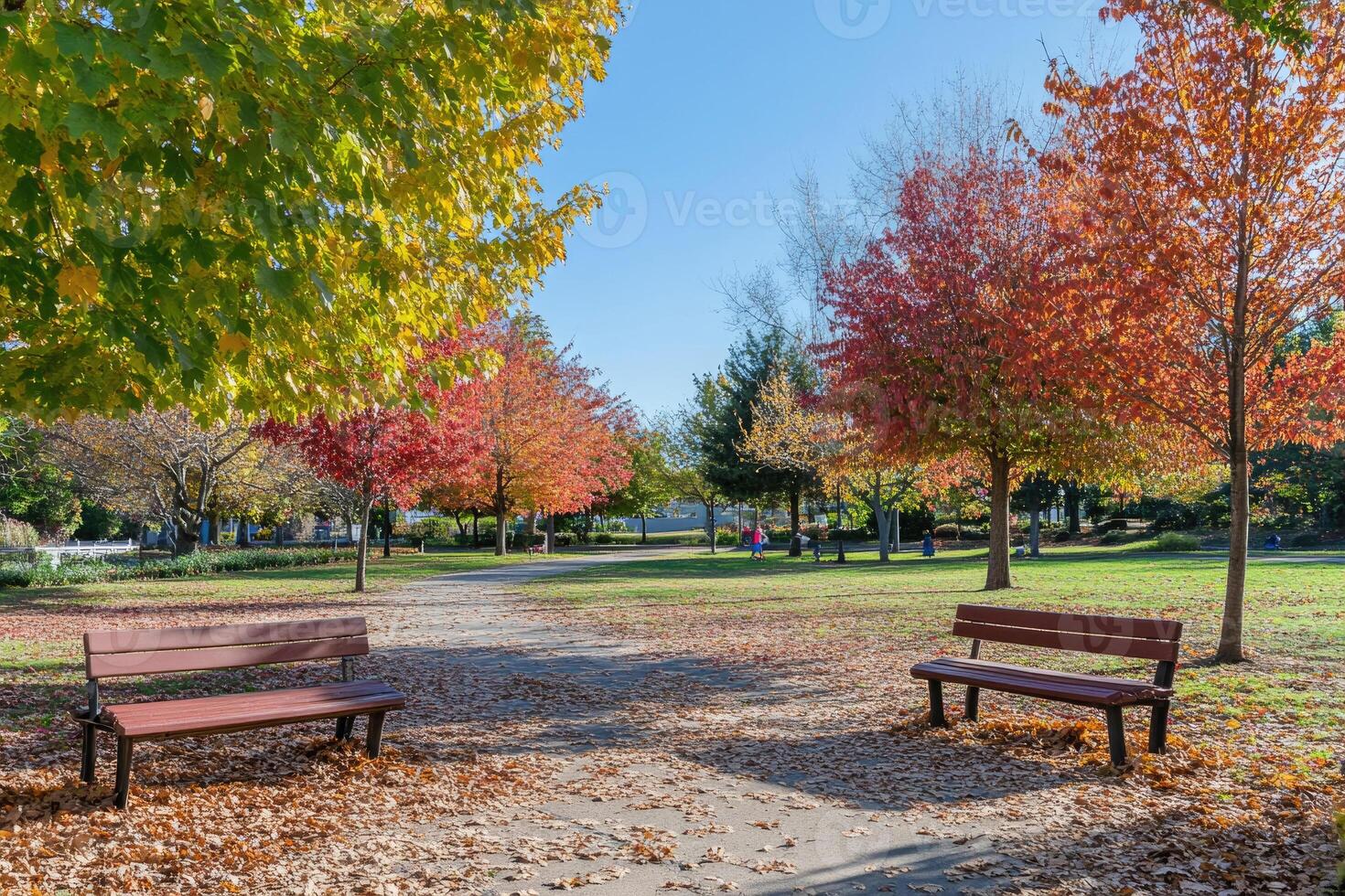 A vibrant park showcasing autumn's beauty. photo