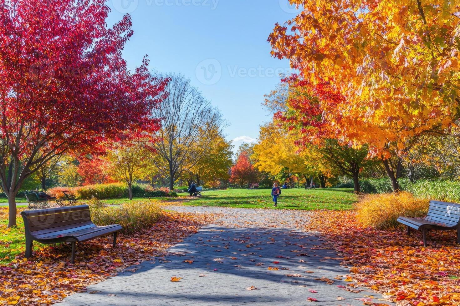 A vibrant park showcasing autumn's beauty. photo
