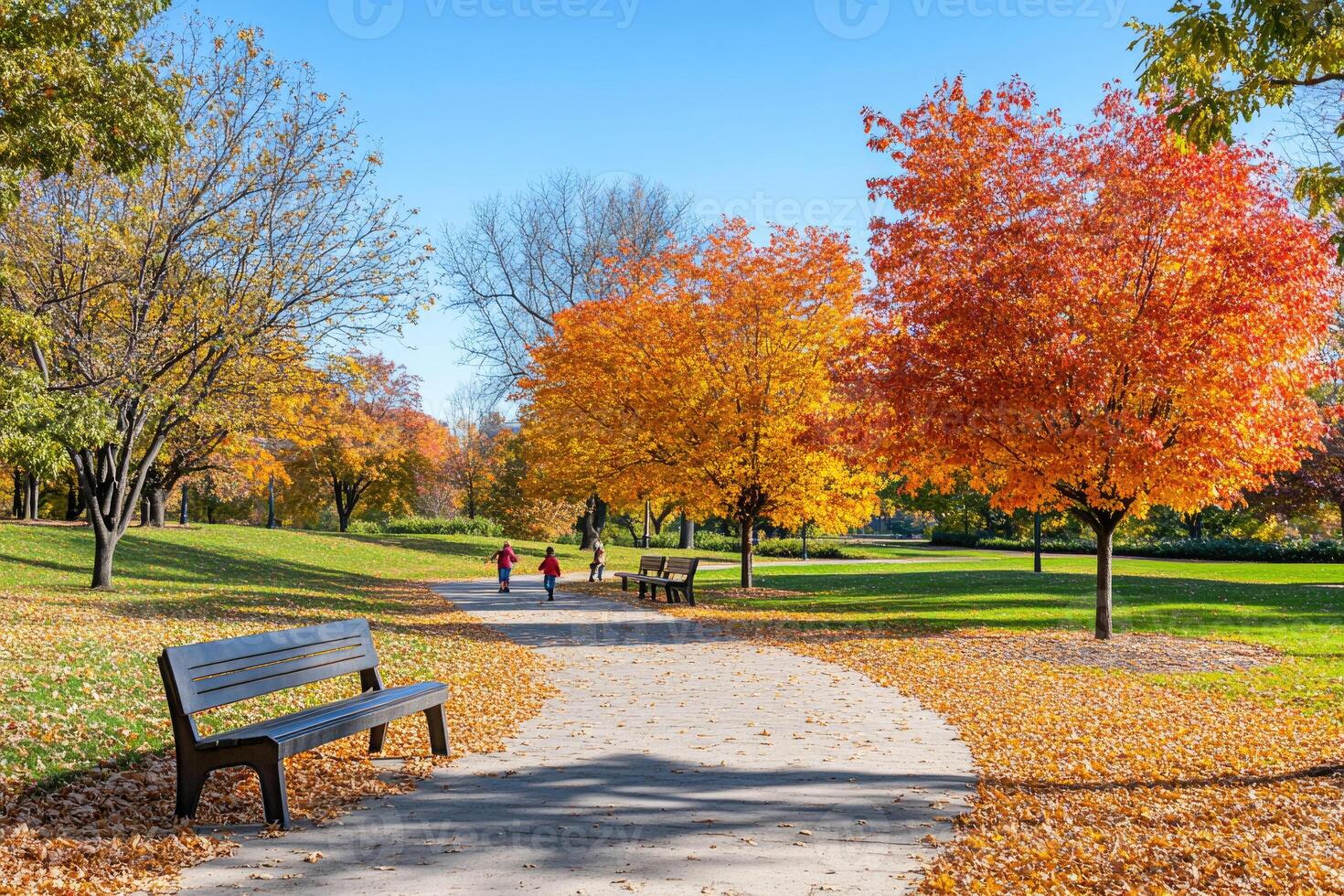 A vibrant park showcasing autumn's beauty. photo