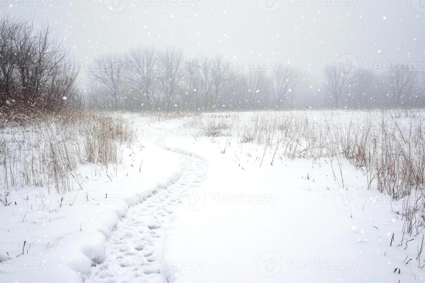 A winding path through a snow-covered meadow. photo