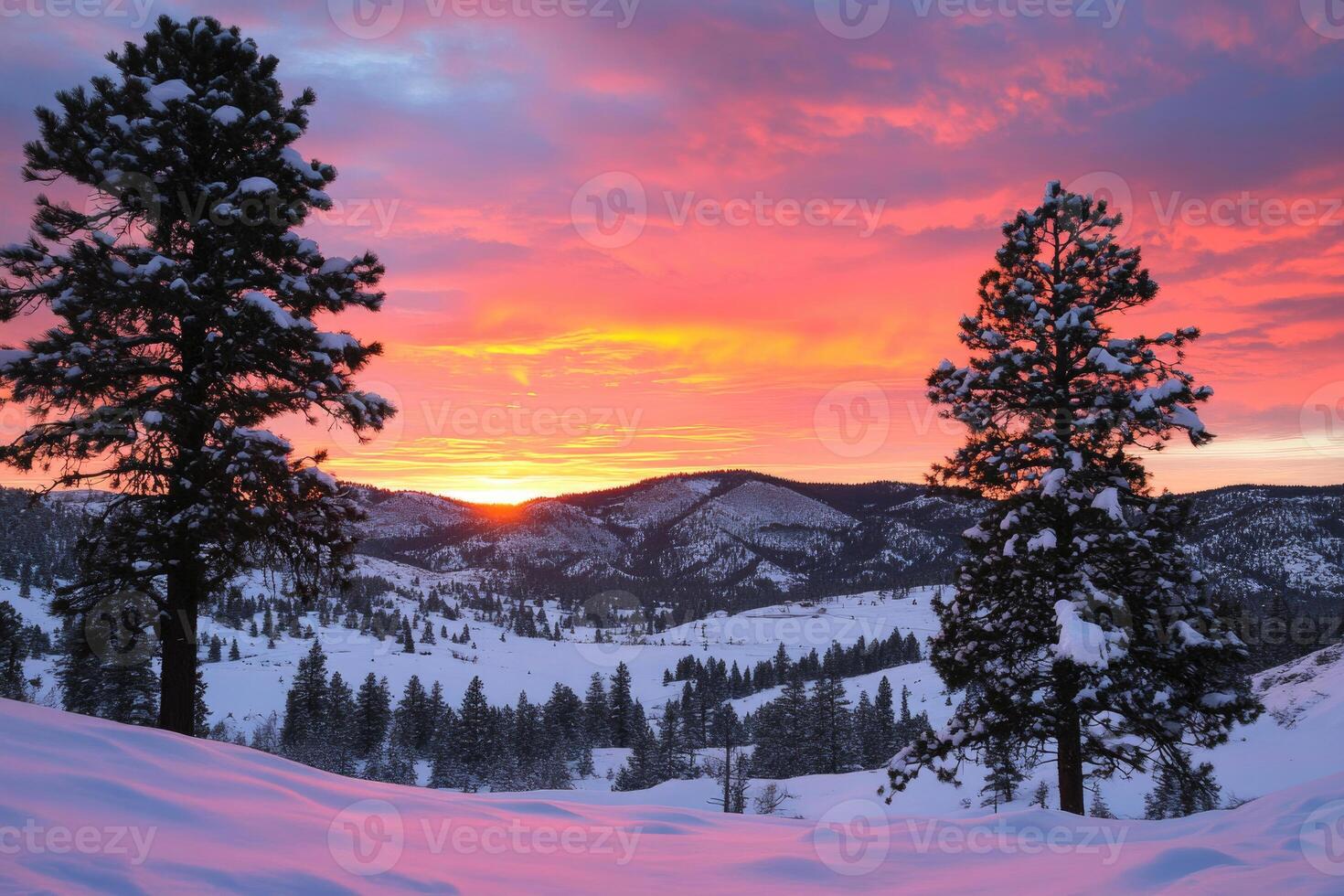 Snow-covered hills and pine trees under a vibrant sunset. photo