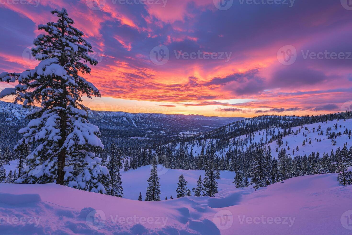 Snow-covered hills and pine trees under a vibrant sunset. photo