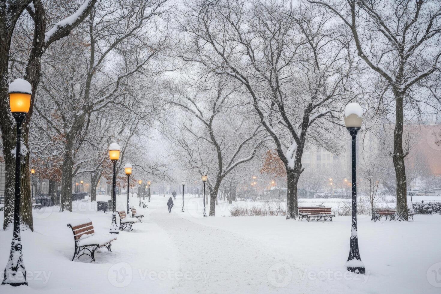 A city park blanketed in snow with bare trees. photo