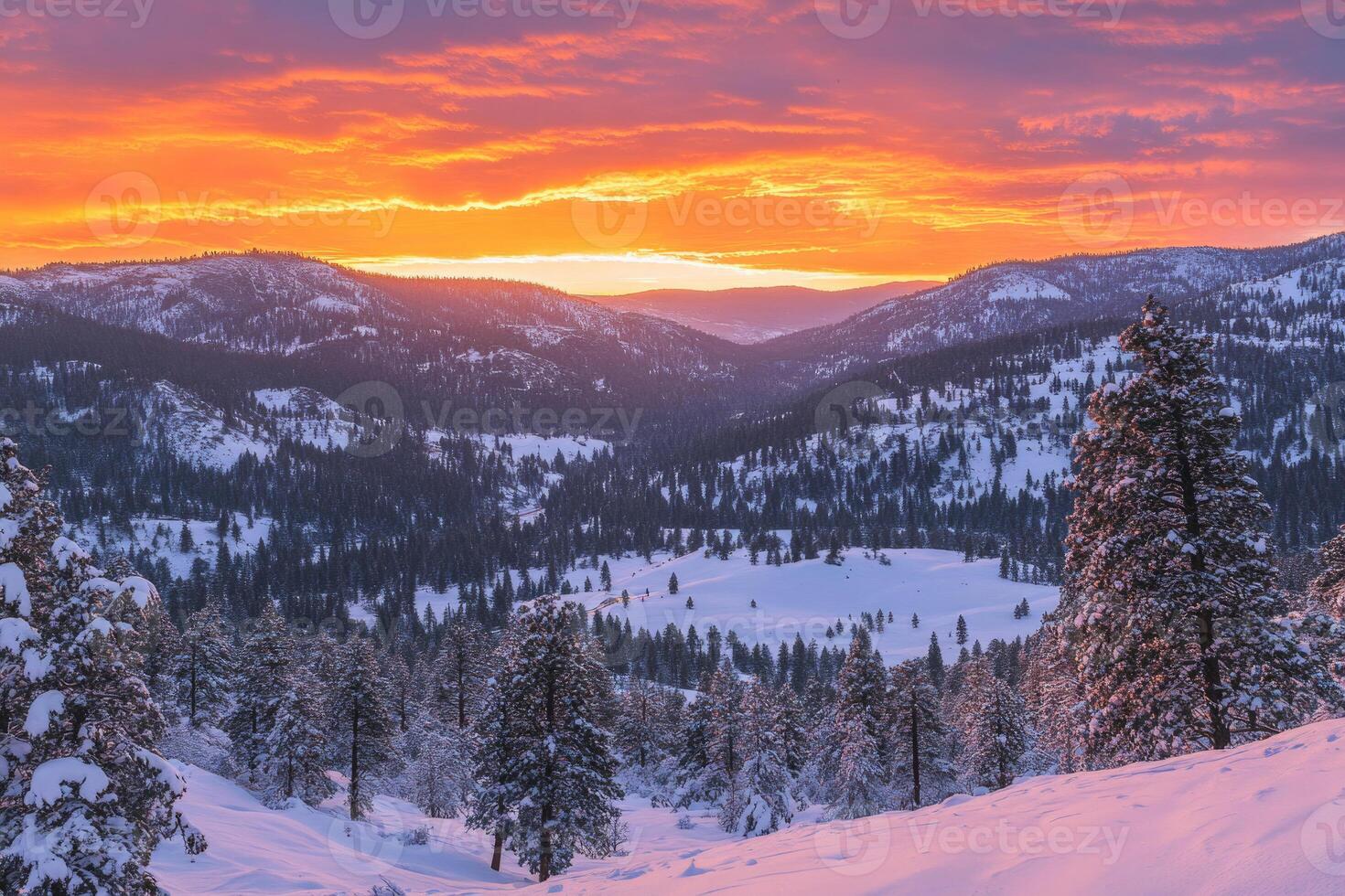 Snow-covered hills and pine trees under a vibrant sunset. photo