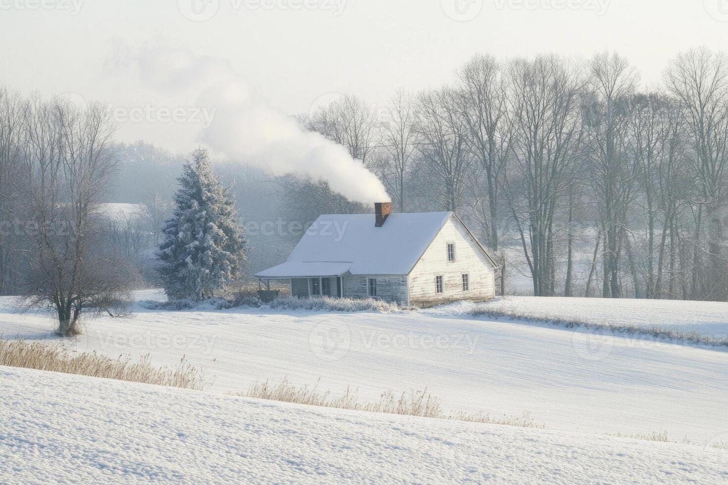 A farmhouse surrounded by snow in the countryside. photo