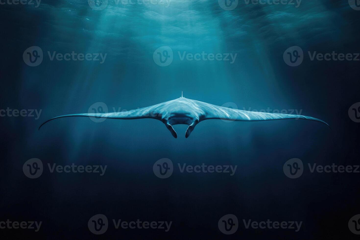 A manta ray gliding effortlessly through the oceans blue depths. photo