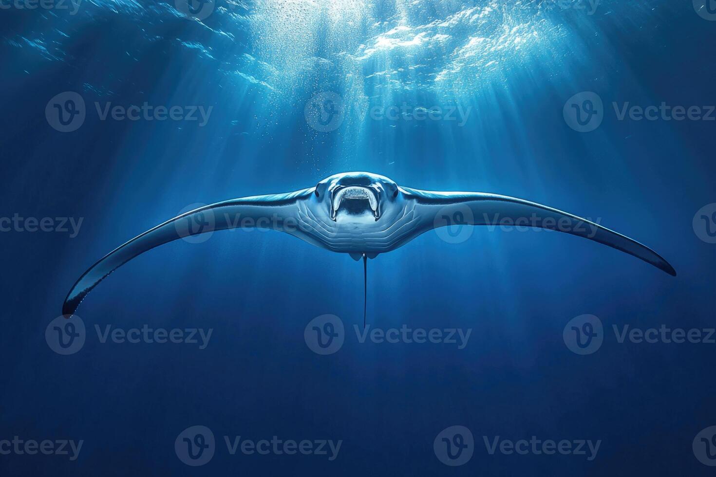 A manta ray gliding effortlessly through the oceans blue depths. photo