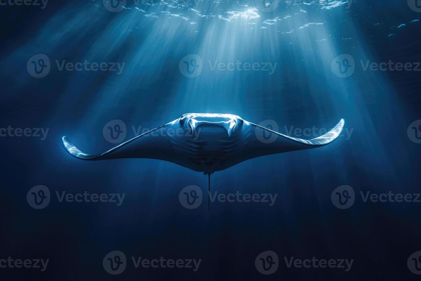 A manta ray gliding effortlessly through the oceans blue depths. photo