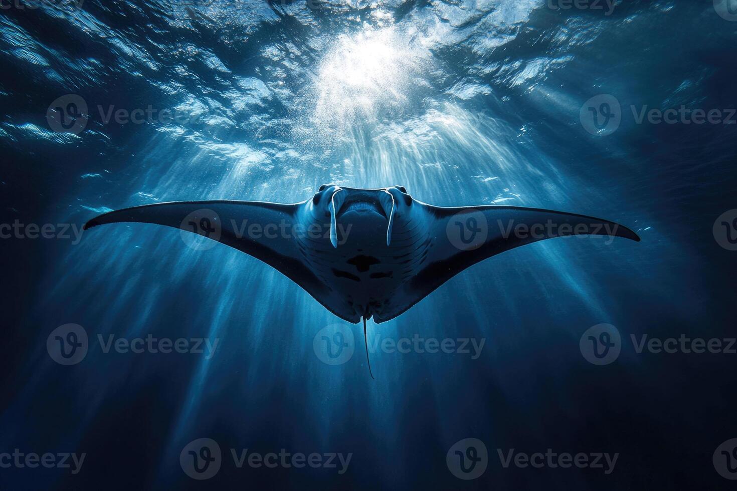 A manta ray gliding effortlessly through the oceans blue depths. photo