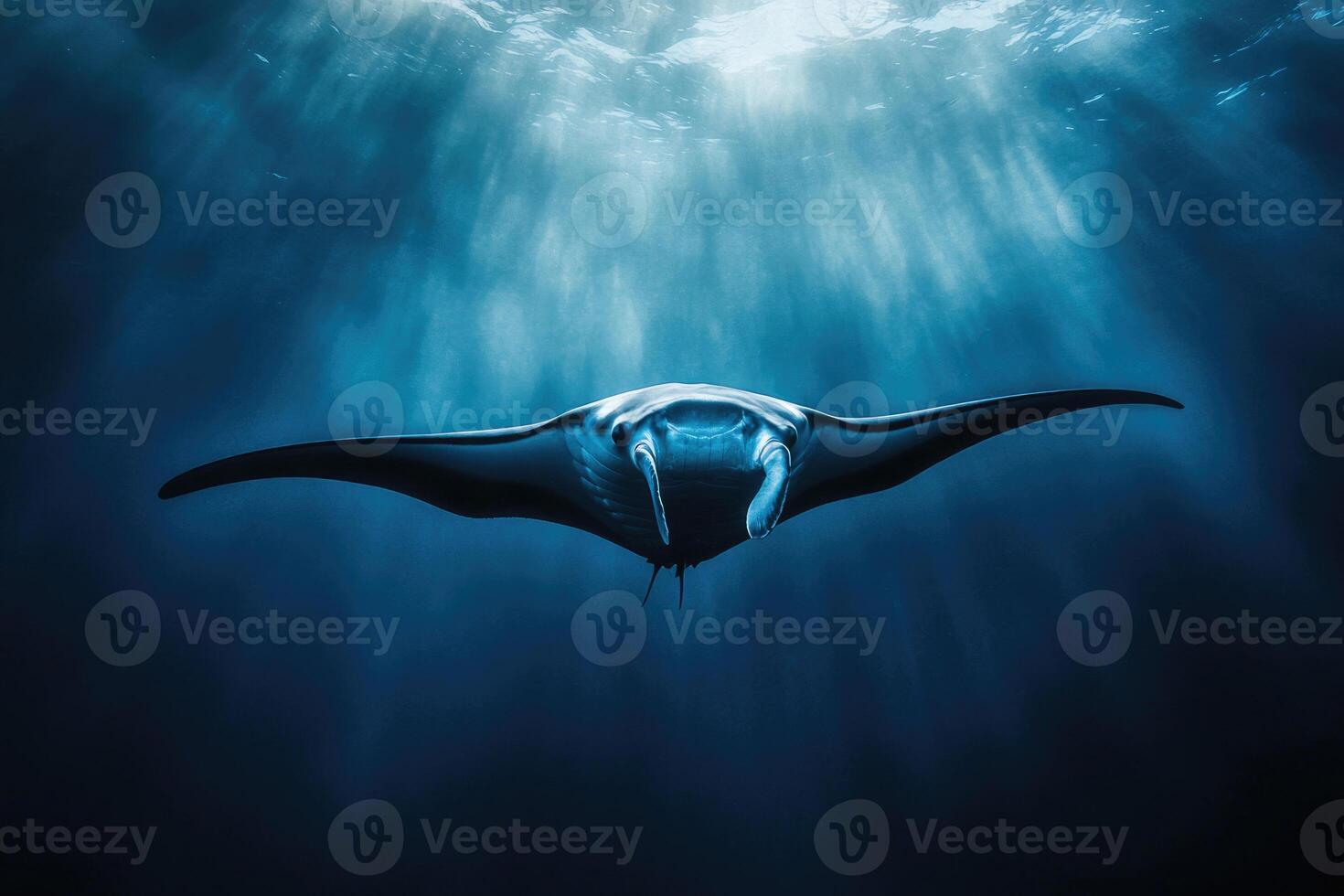 A manta ray gliding effortlessly through the oceans blue depths. photo